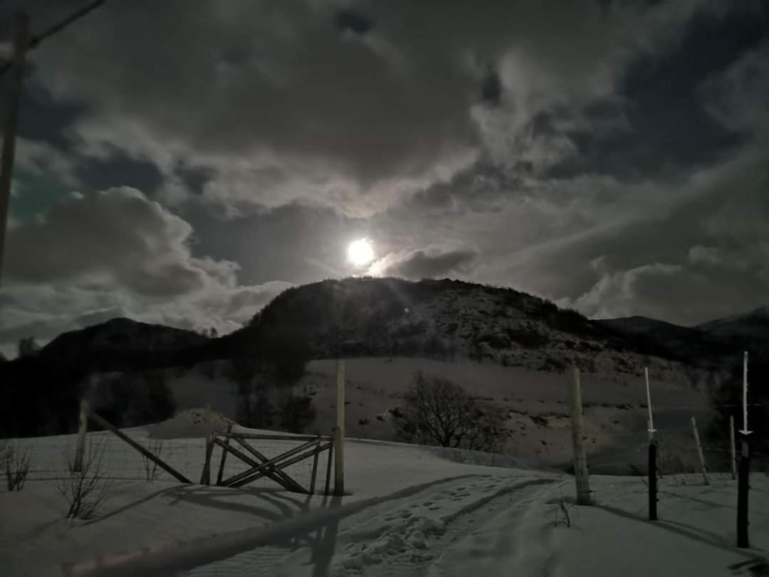 Storjord Farmstay Ranchhouse Kvaloya Exteriör bild