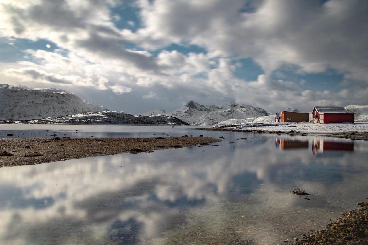 Storjord Farmstay Ranchhouse Kvaloya Exteriör bild