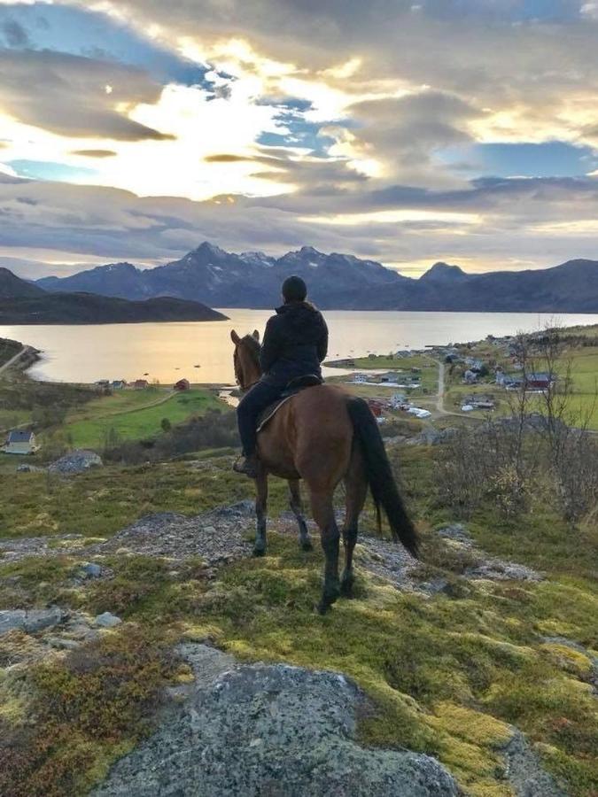 Storjord Farmstay Ranchhouse Kvaloya Exteriör bild