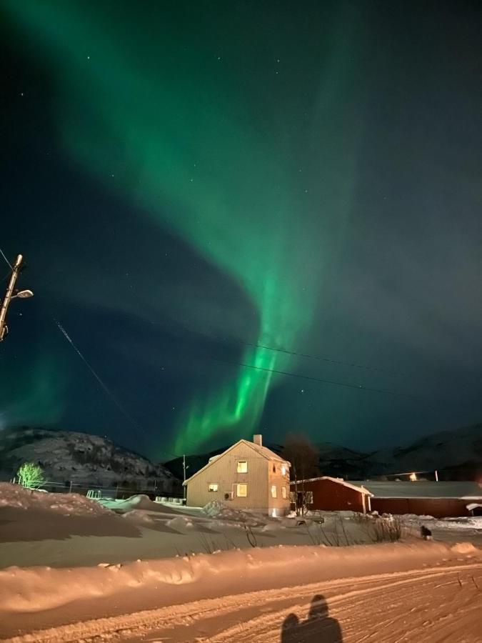 Storjord Farmstay Ranchhouse Kvaloya Exteriör bild