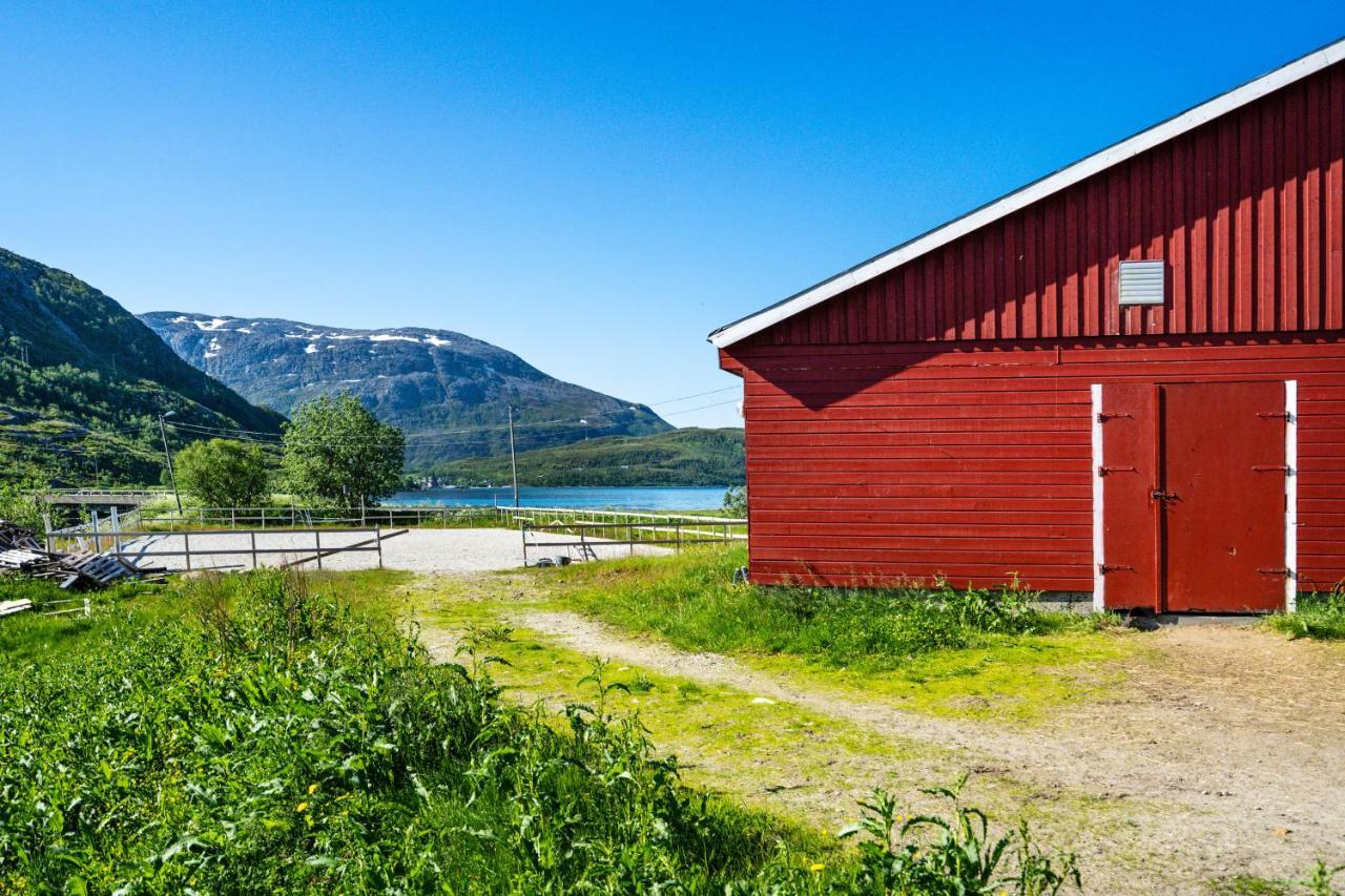 Storjord Farmstay Ranchhouse Kvaloya Exteriör bild