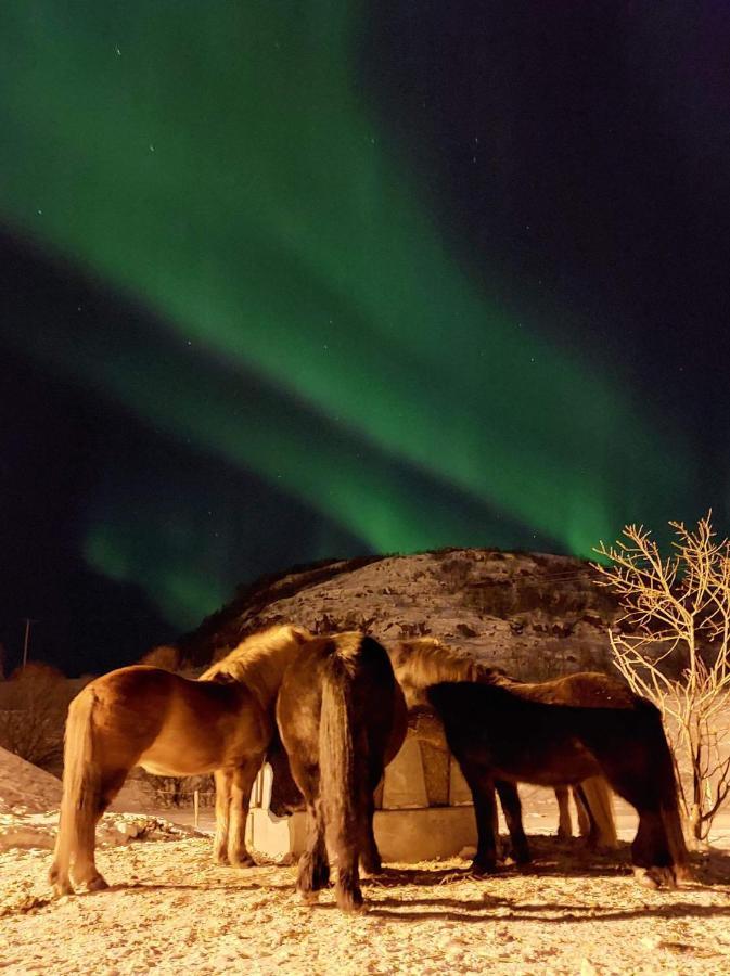 Storjord Farmstay Ranchhouse Kvaloya Exteriör bild