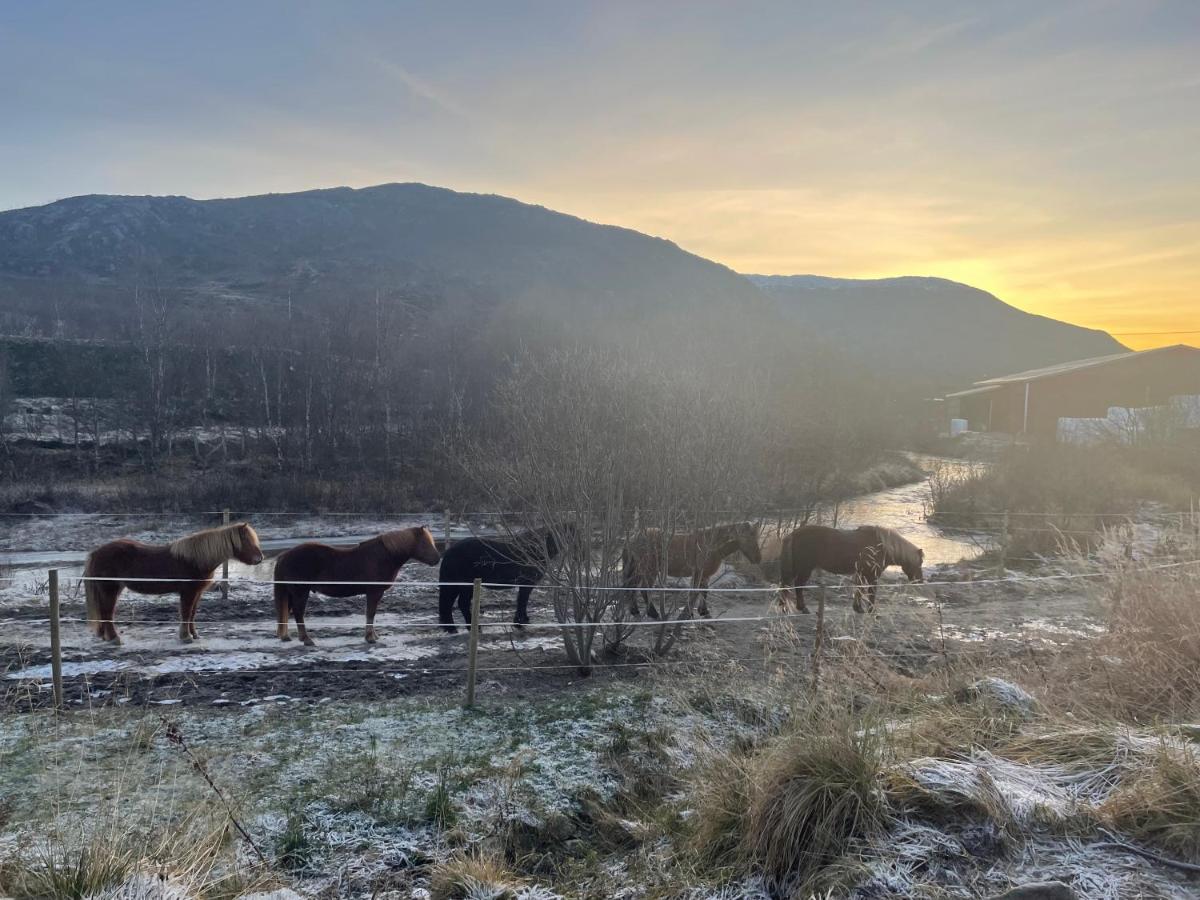 Storjord Farmstay Ranchhouse Kvaloya Exteriör bild